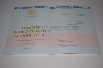 Диплом Адъюнктуры 2024г в Вологде